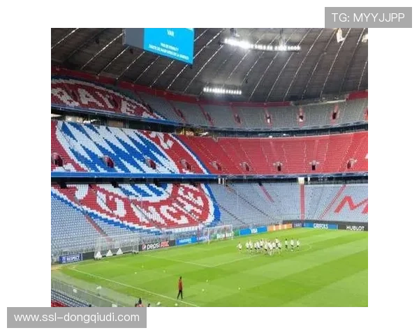 安联球场启动草坪智能温控系统，应对极寒天气保赛事质量